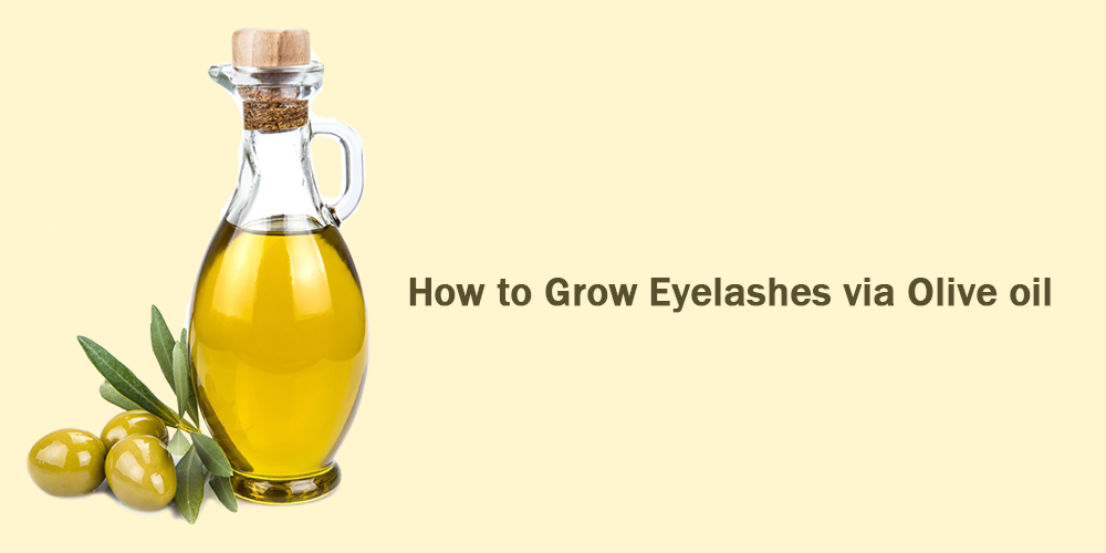 How to grow eyelashes via olive oil