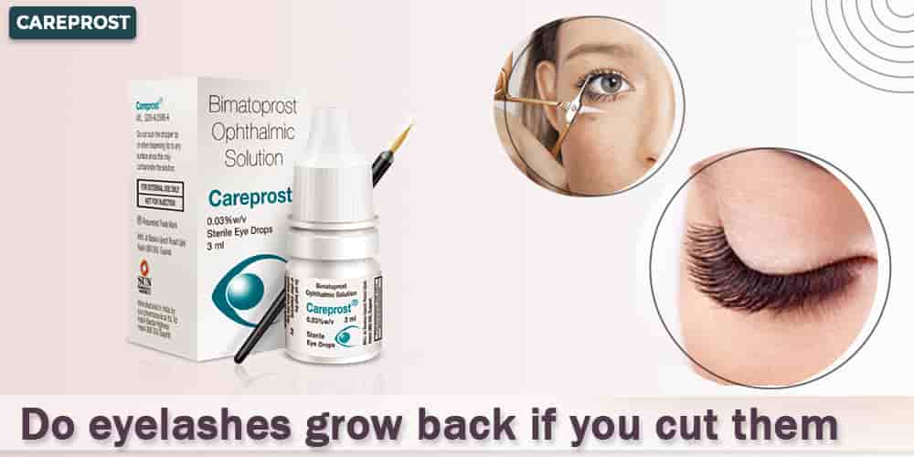 Do Eyelashes Grow Back if You Cut Them?