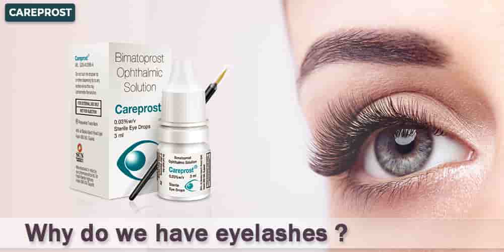  Why Do We Have Eyelashes?