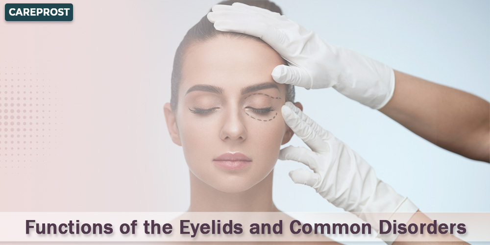 Common problems and how the eyelids work
