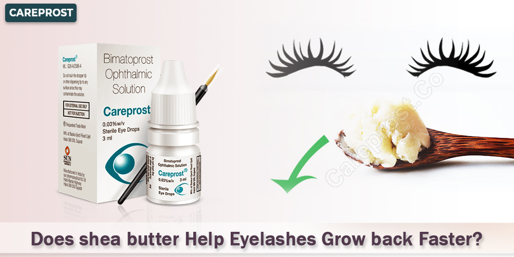 Does shea butter Help Eyelashes Grow Back Faster?