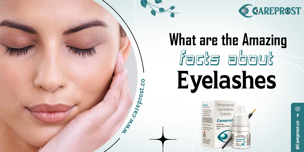 What are the Amazing facts about eyelashes?